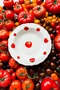 X Bengi Kurtcebe Pomodoro Stoneware 4-Piece Dinner Plate Set 23 cm - 5