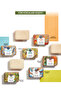 Solid Soap - Refreshing Olive Orange -Sls, Sles Free, Vegan-80Gr - 7