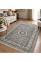 Generic Classic Carpet - 2