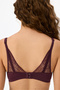 Burgundy Eliza Push up Bra - 4