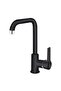 P915B Agena Kitchen Sink Faucet Black Brass Body