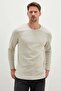Basic Crew Neck Body - 5