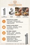 Professional Garlic Squeezer Multi-Purpose Ginger Walnut Crusher Mini Masher Tool 18/10 304 Stainless Steel 721210 - 3