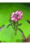 20X11 cm Embroidery Flower Arma Sewing Applique Pink - 3