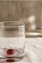 Dot Whiskey Glass Purple - 5