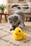 Flapping Wing Duck Cat Toy |   Sound-Activated, Cat Grass Mint, Rechargeable, 3-Mode Moving Toy H141 - 4