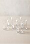 6-Pack Yunus Tea Cups 155 Cc - 2