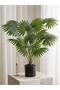 Fan Palm 80 cm - 18 Leaves - 4