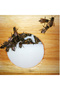 1Pc Apiculture Automatic Bee Feeder Free of Opening Beehive Internal Water Feeder Feeding Sugar Wate - 5