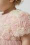 Rose Detailed Bowknot Baby Evening Dress - 3