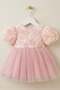 Rose Detailed Bowknot Baby Evening Dress - 4