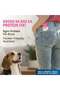 Premium Calcium Milk Bone Dog Treats, Dental Chew for Small Dogs, Milk Flavor, 2 Inch, 30pcs 270g - 7