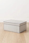 Under Bed and Inside Cabinet Storage Box Foldable Organizer Box with Lid 50X40X19 cm