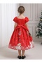 Christmas Girl's Printed Santa Dress - 3