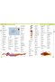 First French Dictionary - A First Reference Book For Children - 3