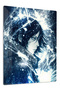 Ice Anime Warrior Anime Metal Wall Art