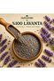 LAVANTA 40 GR - 2