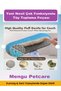 New Generation Multifunctional Cat and Dog Hair Collector Seat Carpet Hair Removal and Cleaning Brush - 3