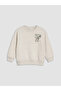 Printed boy's sweatshirt