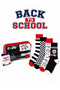 Back to School 4-Piece Sock Set – Math-Themed with Pen Holder