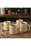 Stoneware ZOE 4PCS Mug Set | 385 ML Beige Coffee Mug Set - 3