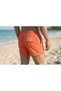 Sea shorts - 2
