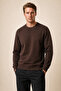Lines Regular Fit Winter Sweatshirt Brown