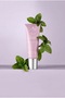 Peppermint Extract Scalp Renewing Care Lotion 74 ml - Renewing Scalp Care Peppermint Leave-On Treatment - 4