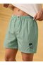 Men Olive Green Striped Boxers
