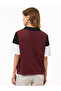 Maroon Mickey Graphic Open Knit Polo T-Shirt - 5