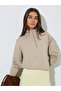 Beige Solid Regular Fit Half Zip Sweatshirt