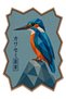 Sdt Bird Patterned Modern Woven Base Decorative Carpet Sdtamour4140