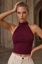 Women's Halter Neck Backless Blouse - 4