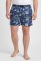 Men Graphic Print Board Shorts, Multicolor