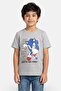 Kids Boy Short Sleeve Sonic The Hedgehog Graphic Print T-Shirt, Grey