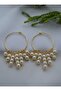 Earrings - Gold Color - - 3