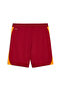 Galatasaray Men's Training Shorts - 4