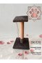 Lux Cat Scratching Board - 3