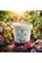 High Phosphorus Water Soluble Fertilizer 10-52-10 + Trace Elements (TE), For Indoor Plants, Vegetabl - 2