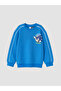 Sparkling Choices from Shining Store Blue Fast Hedgehogboy's Tracksuit Set - 7
