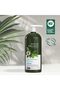 Scalp Treatment Tea Tree Scalp Care and Purifying Shampoo 946 ml - 2
