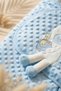 Luxury Embossed Welsoft Blue Teddy Bear Baby Swaddle - Hooded Soft Baby Sleeping Bag and Blanket - 3