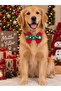 Red Christmas Themed Dog Bow Tie Cat Bow Tie (1-50kg) - 3