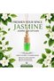 Premium Car Air Freshener 7.5ml, Long Lasting Hanging Diffuser with Essential Oils, Elegant Fragrance for Car, Home & Office Pack of 3 Cinnamon Orange, Jasmine, Strawberry - 4