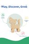 Wooden Cat Toy Natural Handmade Paintable Educational Toy + 6-Piece Paint Set Gift - 3