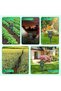 STC-669-1PC Solar Rechargeable Ultrasonic Animal Repellent, Rat Repellent, Snake Repellent'' for Gar - 6