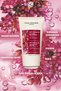 Anti-Cellulite Firming Cream -17551 - 4