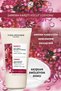 Anti-Sagging Body Lotion/ Centella Asiatica Extract-17471 - 2