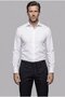 White Regular Fit Pocketless Classic Long Collar Satin Shirt