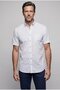 Blue Regular Fit Cotton Pocketless Long Italian Collar Shirt